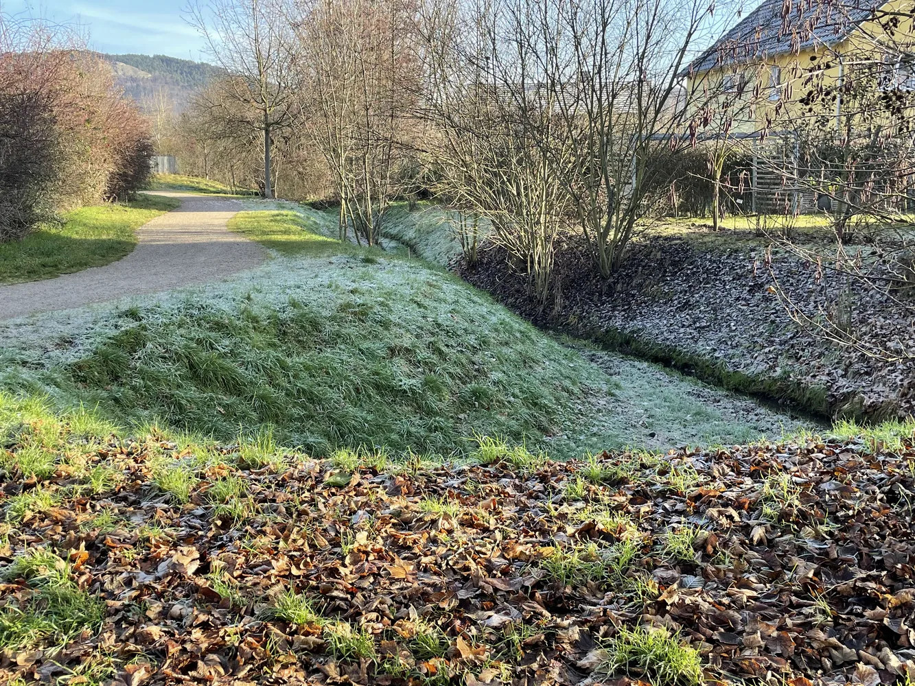 2 Zimmer Wohnung mit 34 m² in Jena – Bild 11